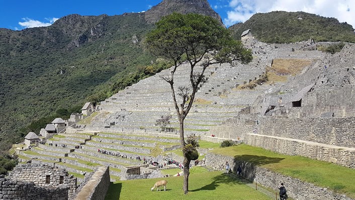 Machu Picchu